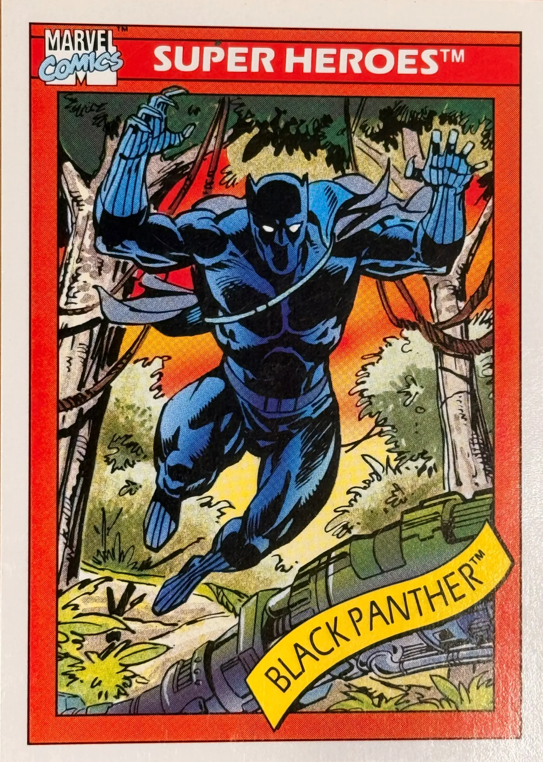 1990 Black Panther